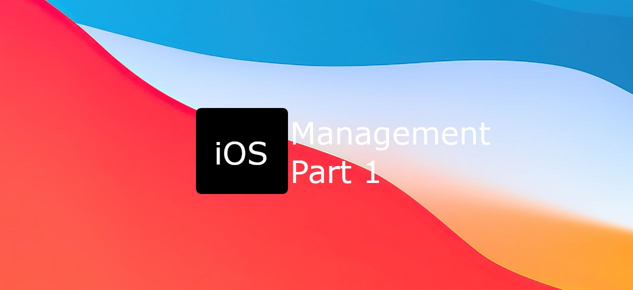 Managing iOS/iPadOS Part 1:  The basics